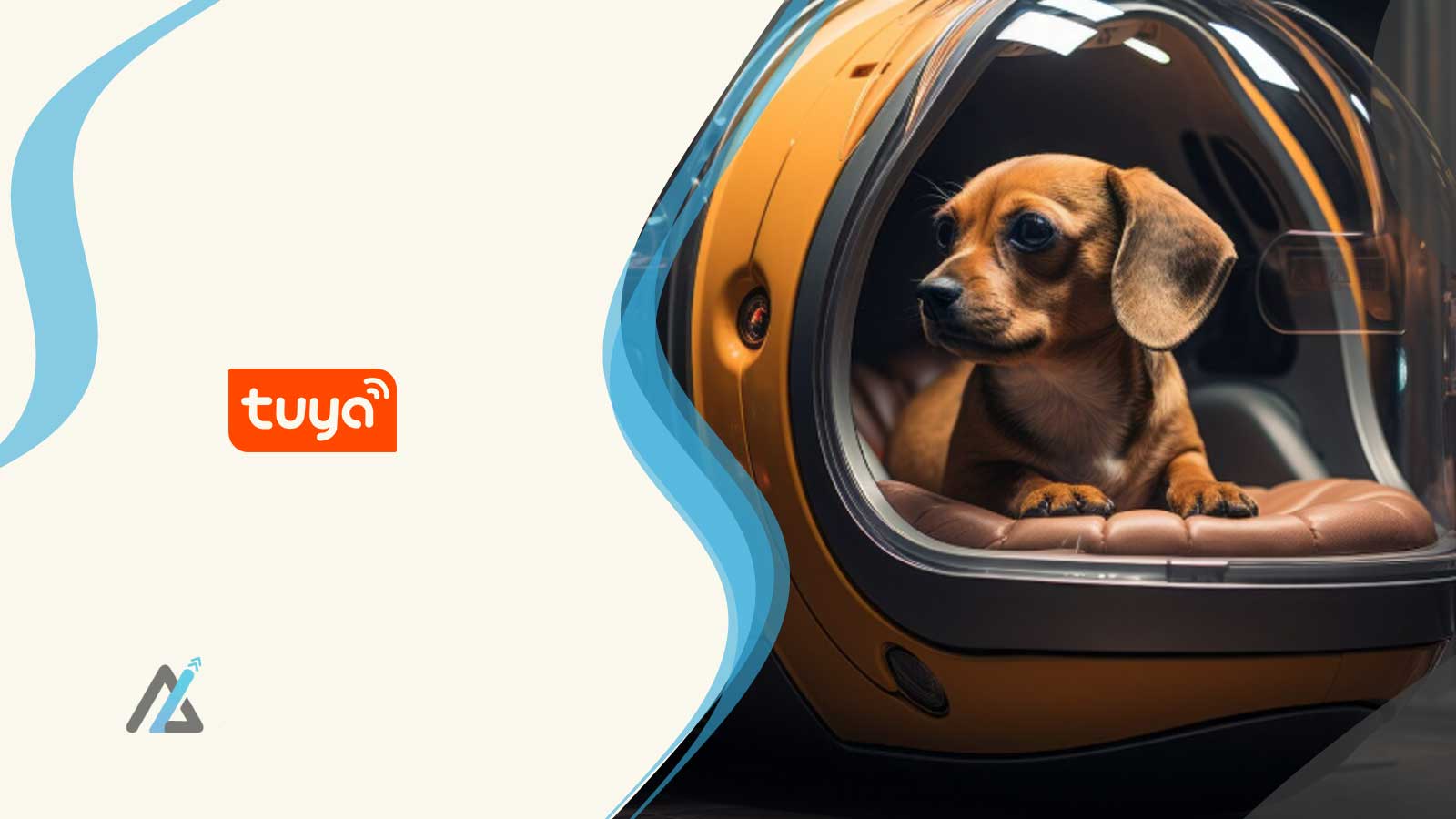 Tuya Smart Launches Aura, an AI Companion Robot Designed for Pets 